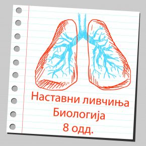 Наставни листови по Биологија за 8 одделение Наставни листови по Биологија за 8 одделение